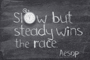 Slow but steady wins the race. - Quote by Aesop.