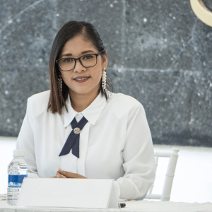 Professional looking businesswoman sat at her desk.