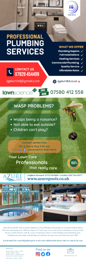 Real Ads Designed using Canva from our PhoneFile Publication